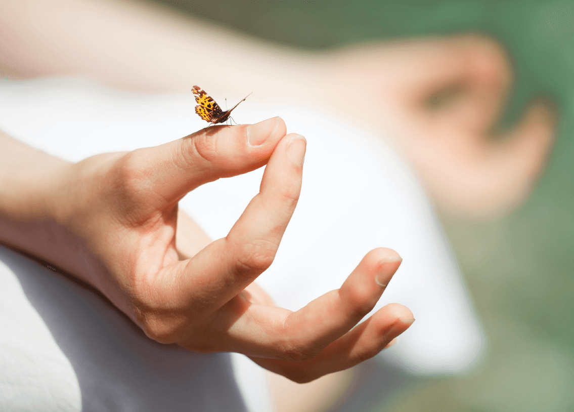 Auf der Hand einer Meditierenden sitzt ein Schmetterling