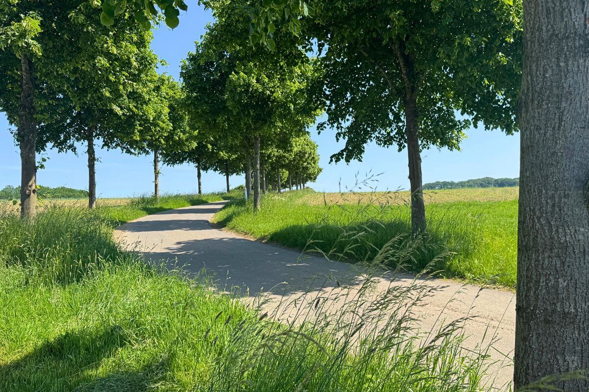 Yoga-Studio im Wipperfürth an der Wupper