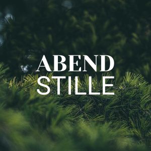 Dunkelgrüne Kiefernnadeln im Abendlicht