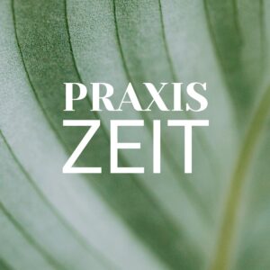Ein grünes Blatt in der Nahaufnahme, so dass man alle Strukturen sehen kann
