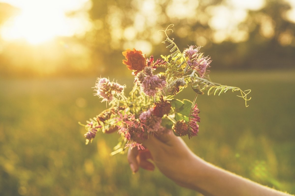 Eine Hand hält einen bunten Wildblumenstrauß