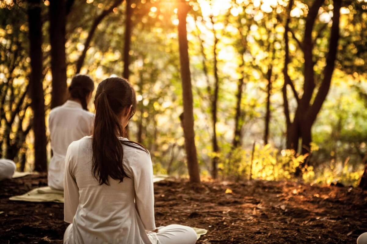 Zwei meditierende Frauen in einem sonnigen Wald